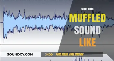 Unraveling the Mystery: What Does Muffled Sound Like and Why?