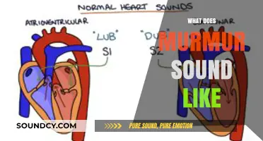 Unraveling the Mystery: What Does a Heart Murmur Sound Like?
