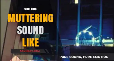 Decoding the Soft, Unclear Tones of Muttering: What Does It Sound Like?