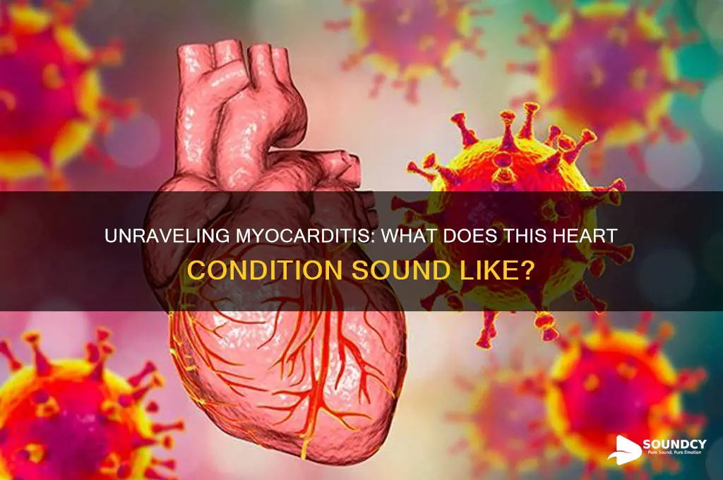 what does myocarditis sound like