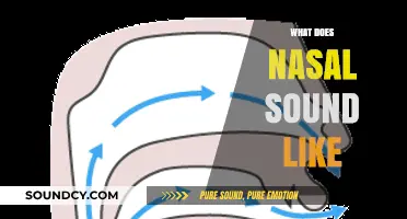 Understanding Nasal Speech: What Does a Nasal Voice Sound Like?
