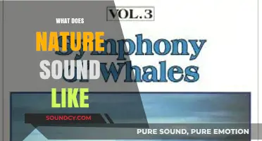 Exploring Nature's Symphony: Unveiling the Sounds of the Natural World