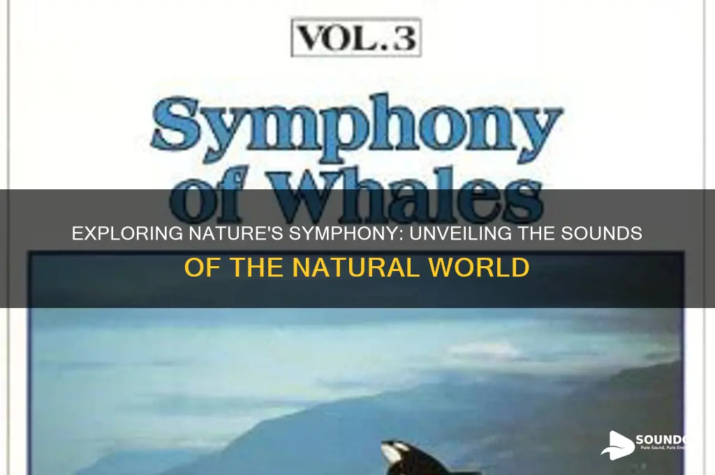 what does nature sound like