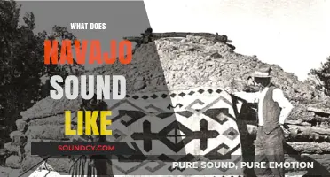Exploring the Unique Sounds and Rhythms of the Navajo Language