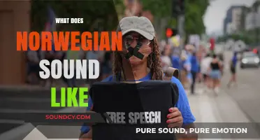 Exploring the Unique Melody and Rhythm of Norwegian Speech