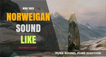 Exploring the Unique Melody and Pronunciation of Norwegian Speech