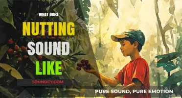 What Does Nutting Sound Like? Exploring the Audible Experience
