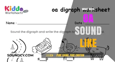 Exploring the Unique Sound of OA: A Phonetic Journey