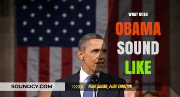 The Distinctive Voice of Obama: Tone, Cadence, and Charisma Explored
