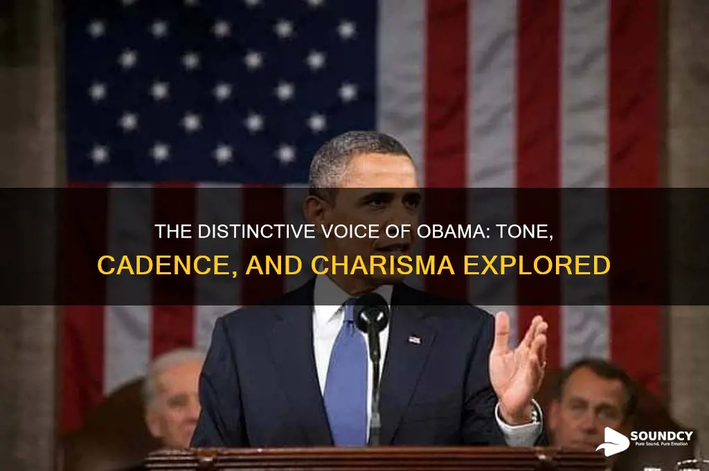 what does obama sound like