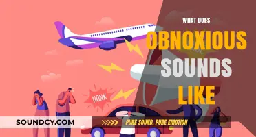 Decoding Obnoxious Noises: What Does Annoying Sound Like to You?