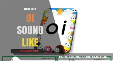 Exploring the Unique Oi Sound: Pronunciation, Examples, and Cultural Context