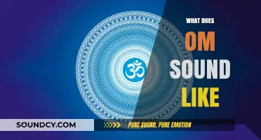 Exploring the Mystical Resonance: What Does the Om Sound Like?