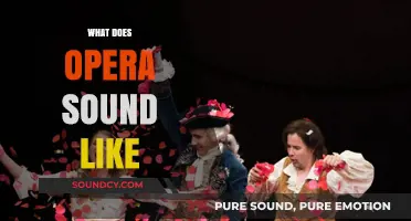 Exploring the Rich, Dramatic, and Emotional Sounds of Opera