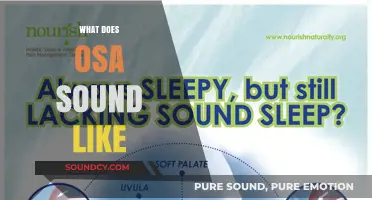 Understanding OSA: The Distinctive Sounds of Sleep Apnea Explained