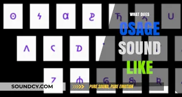 Exploring the Unique Osage Language: Sounds, Pronunciation, and Cultural Significance
