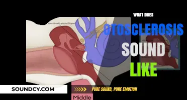 Understanding Otosclerosis: How This Hearing Disorder Alters Your Sound Perception