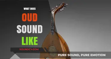 Exploring the Rich, Mystical, and Complex Sound of Oud Music