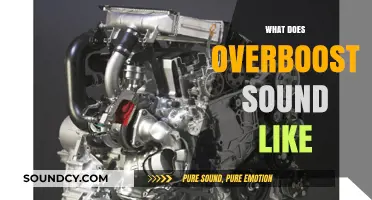 Unleashing the Roar: Understanding the Distinct Sound of Overboost