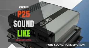 Exploring the Unique Audio Characteristics of P25 Radio Communications