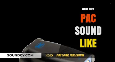 Exploring the Unique Sonic Signature: What Does PAC Sound Like?