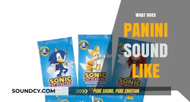 What Does Panini Sound Like? Exploring the Sonic Identity of Panini