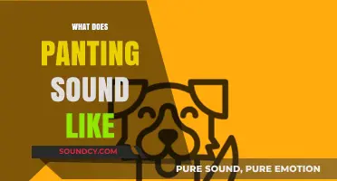 Understanding Panting Sounds: Decoding Your Pet's Breathing Patterns and Meaning