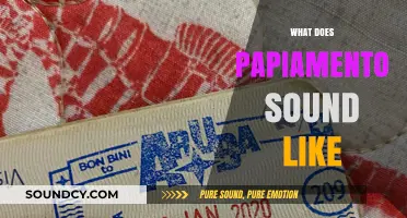 Exploring Papiamento: A Unique Caribbean Language's Rhythm and Melody
