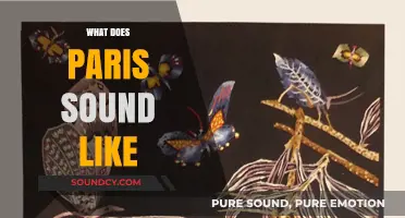 Paris' Sonic Tapestry: Unveiling the City's Unique Auditory Signature