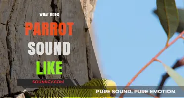 Exploring the Unique and Vibrant Sounds of Parrots in Nature
