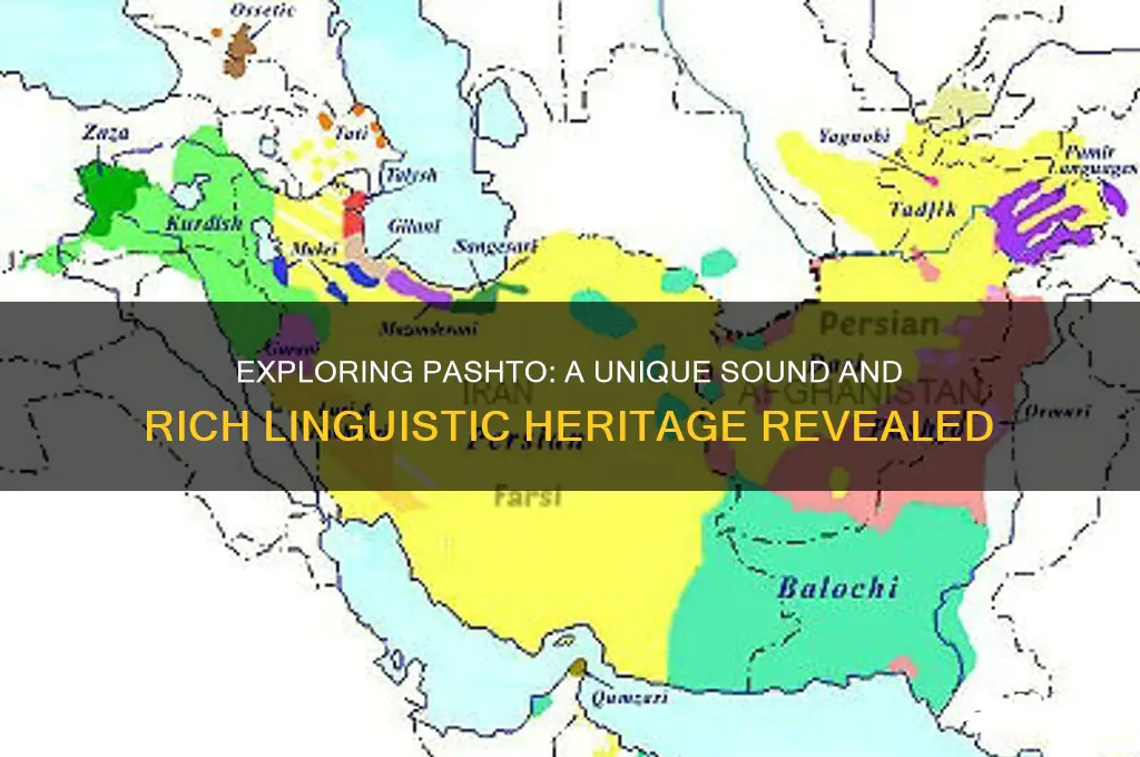 what does pashto sound like