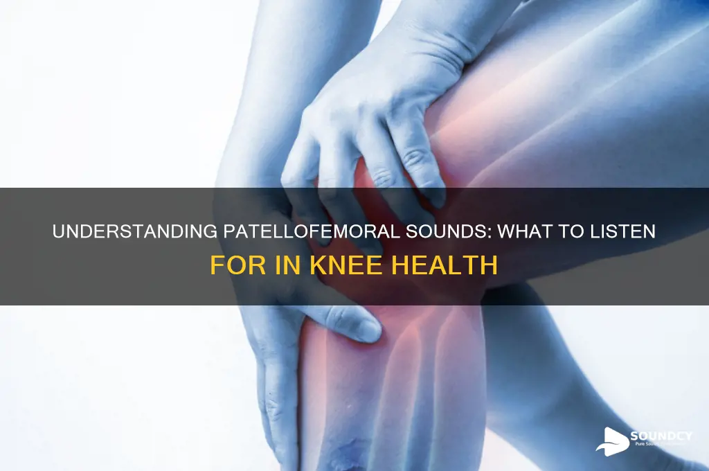 what does patellofemoral sound like
