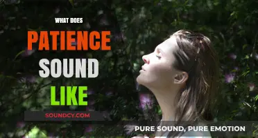 The Quiet Power of Patience: Listening to Its Silent Strength