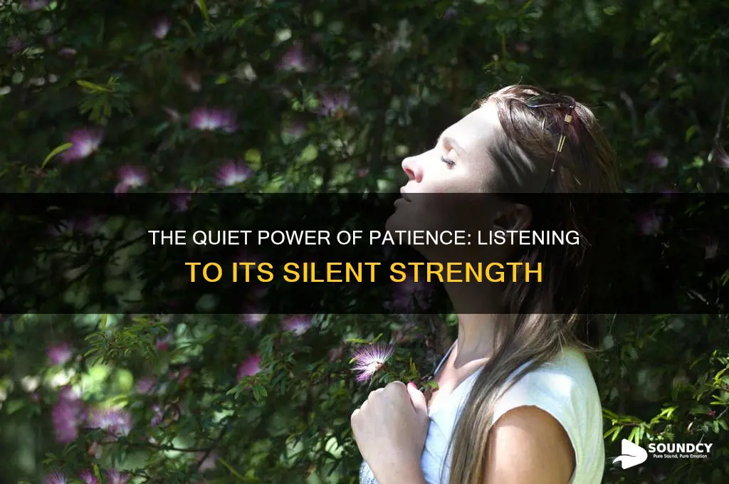 what does patience sound like