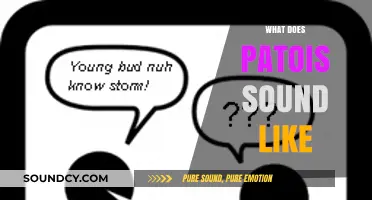 Exploring the Unique Rhythms and Melodies of Patois Speech