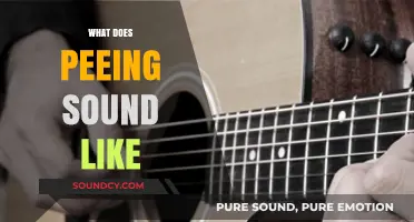 The Surprising Sounds of Peeing: Exploring the Unique Acoustic Phenomenon