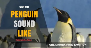 Discover the Unique Vocalizations: What Does a Penguin Sound Like?