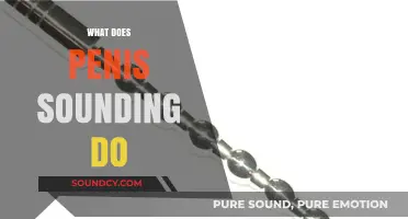 Penis Sounding Explained: Benefits, Risks, and How It Works