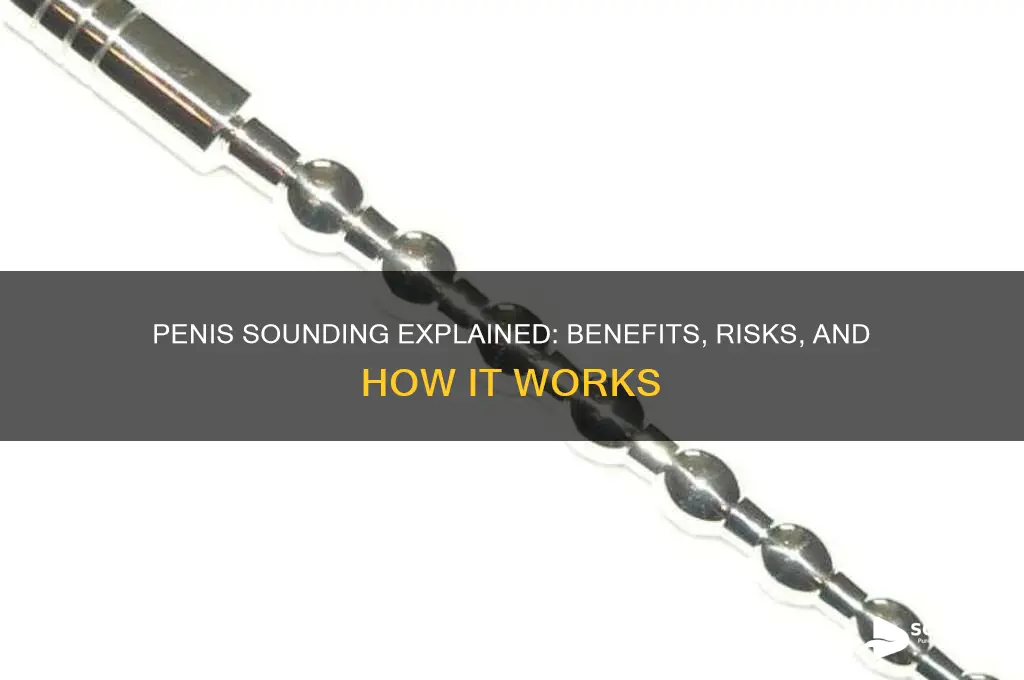 what does penis sounding do