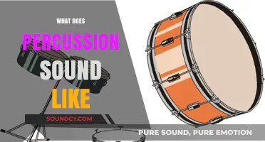 Exploring the Vibrant, Rhythmic World of Percussion Instrument Sounds