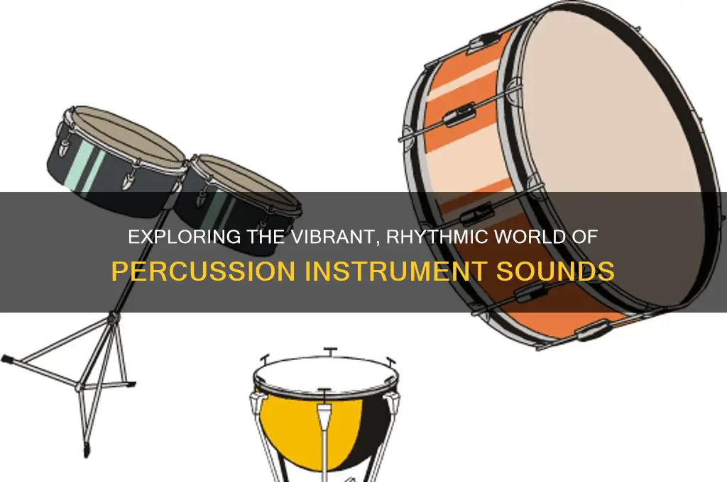 what does percussion sound like