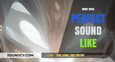 What Does Perfect Sound Like: Exploring the Essence of Ideal Audio
