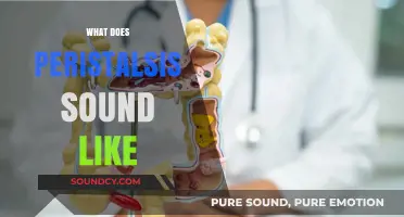 Exploring the Unique Sounds of Peristalsis in the Digestive System