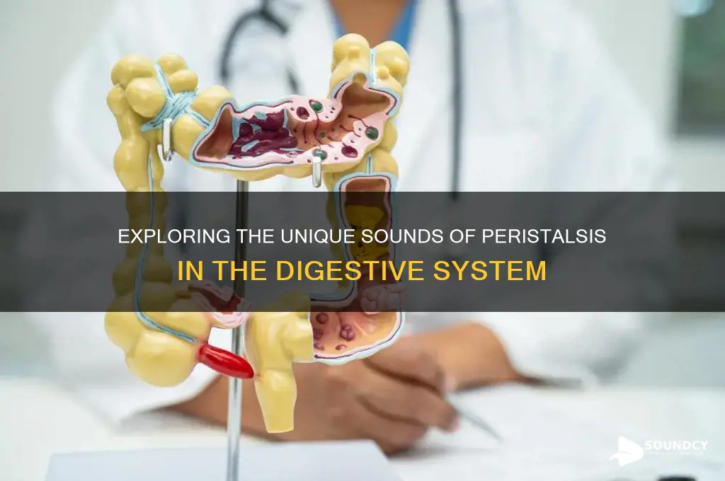 what does peristalsis sound like