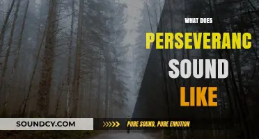 The Audible Echo of Perseverance: Sounds That Define Resilience