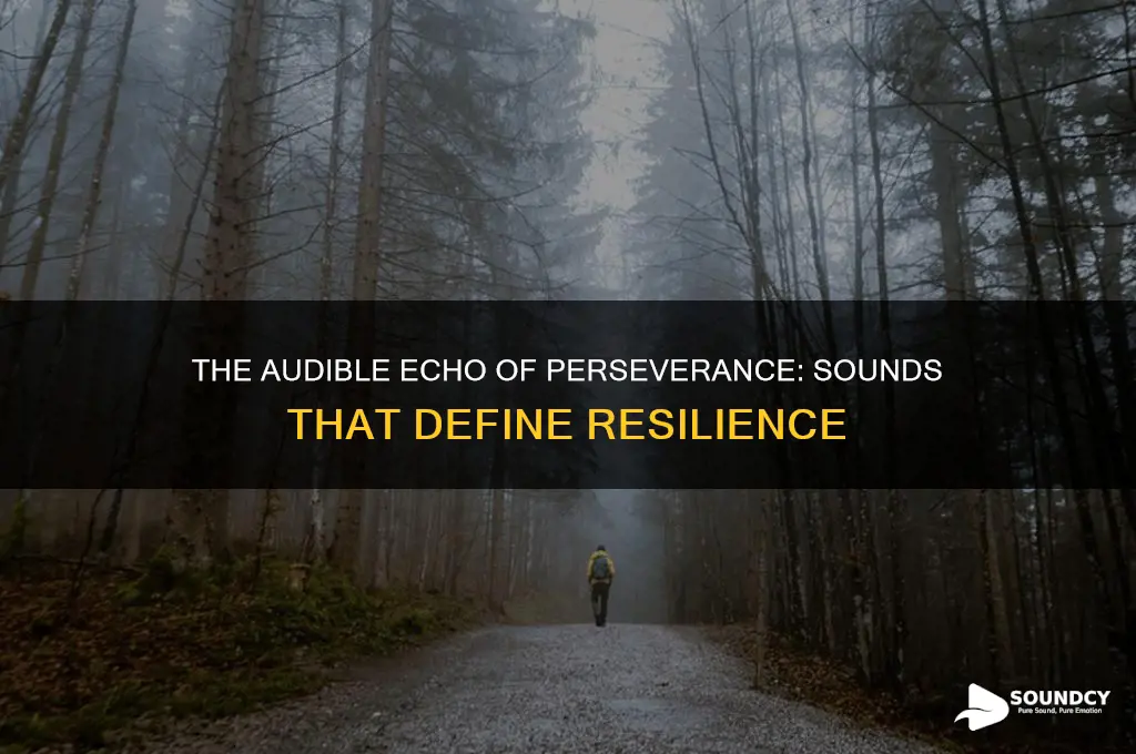 what does perseverance sound like