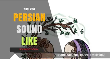 Exploring the Unique Melody and Rhythm of the Persian Language