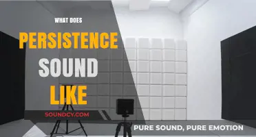 The Audible Echo of Persistence: Sounds That Define Unyielding Resolve