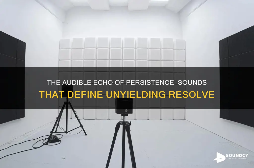what does persistence sound like