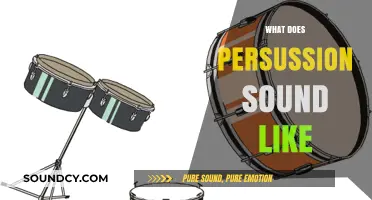 Exploring the Vibrant, Rhythmic World of Percussion: What Does It Sound Like?